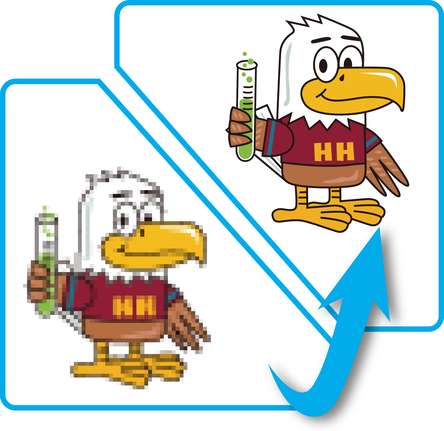 Vector Drawing